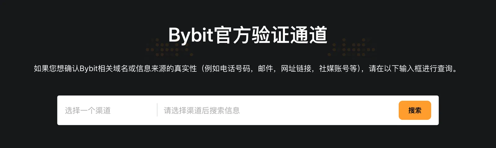 Bybit 官方驗證通道頁面,先選擇渠道再輸入要查詢的資訊